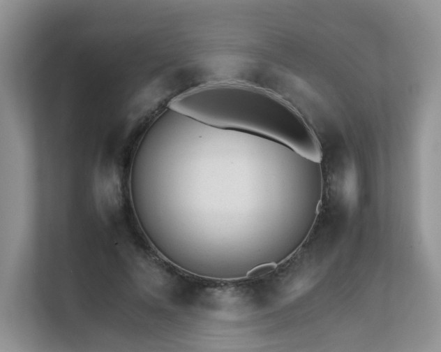 X0000111680688200907241233