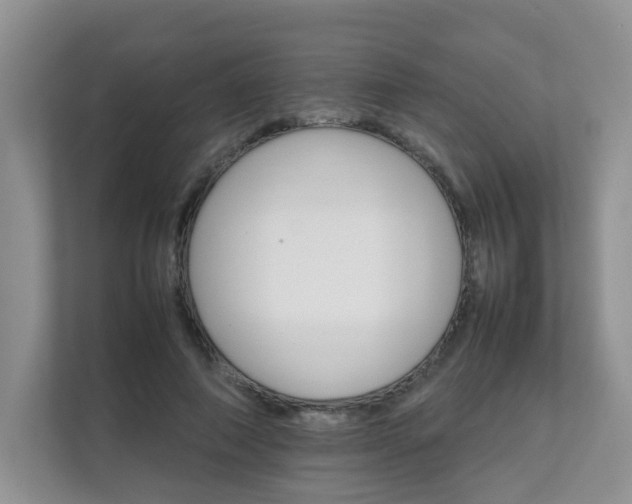 X0000111680690200907241233