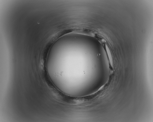 X0000111680693200907241233