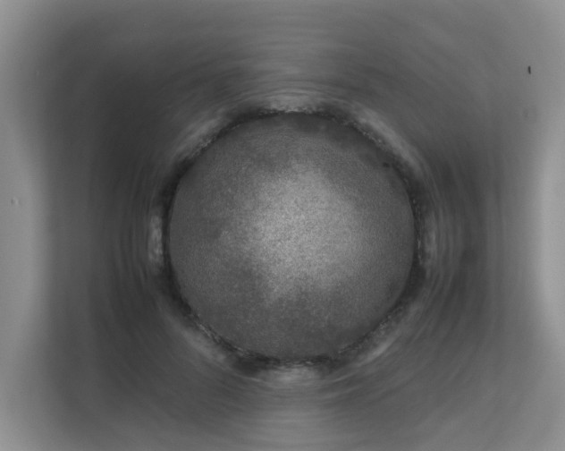 X0000111680696200907241233