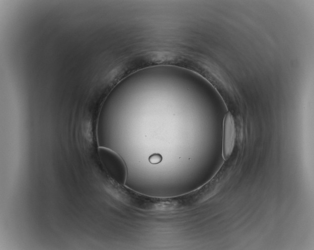 X0000111680700200907241233