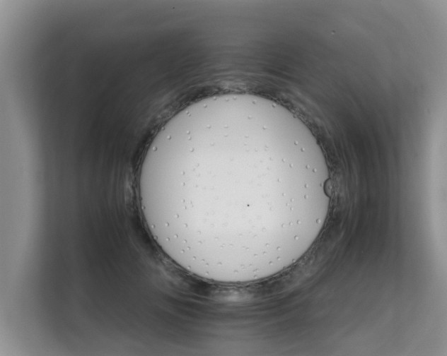 X0000111680702200907241233