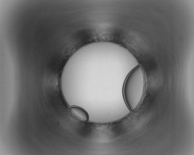 X0000111680709200907241233