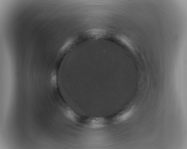 X0000111680720200907241233