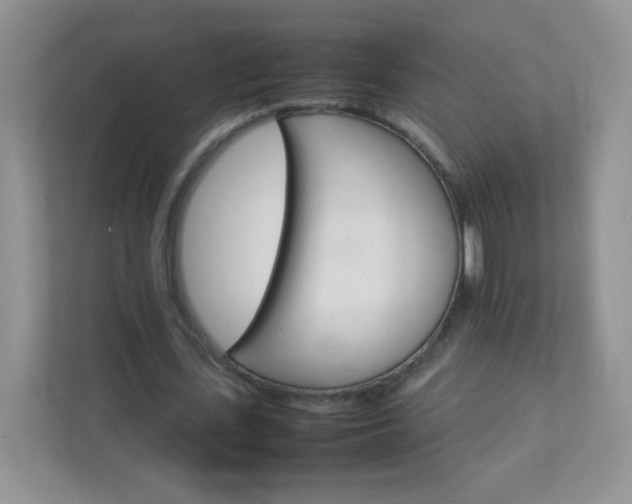 X0000111680723200907241232