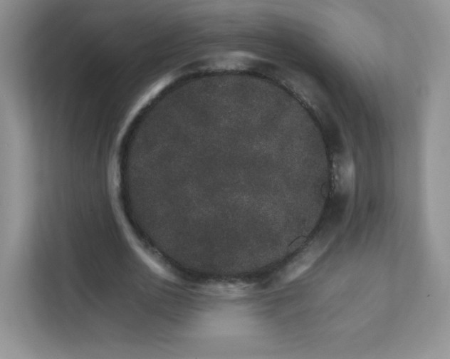 X0000111680726200907241232