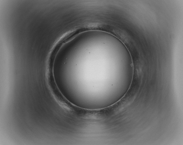 X0000111680728200907241232