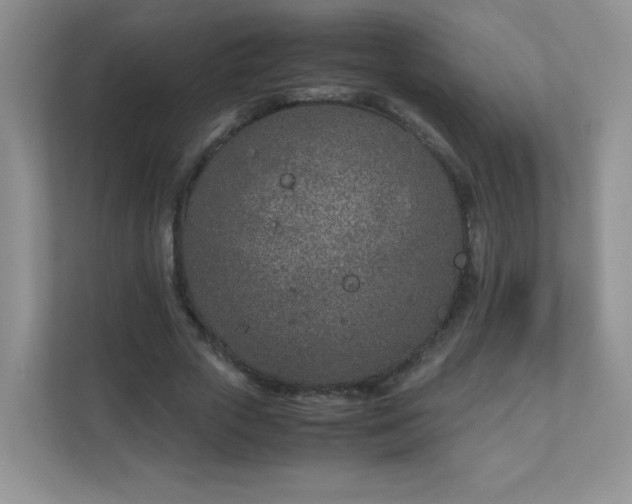 X0000111680729200907241232