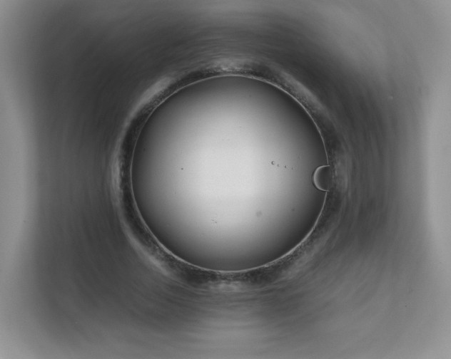 X0000111680730200907241232