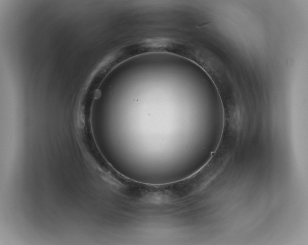 X0000111680731200907241232