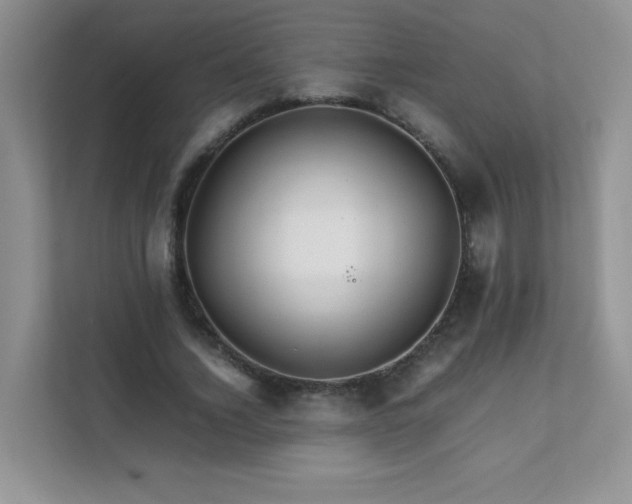 X0000111680732200907241232