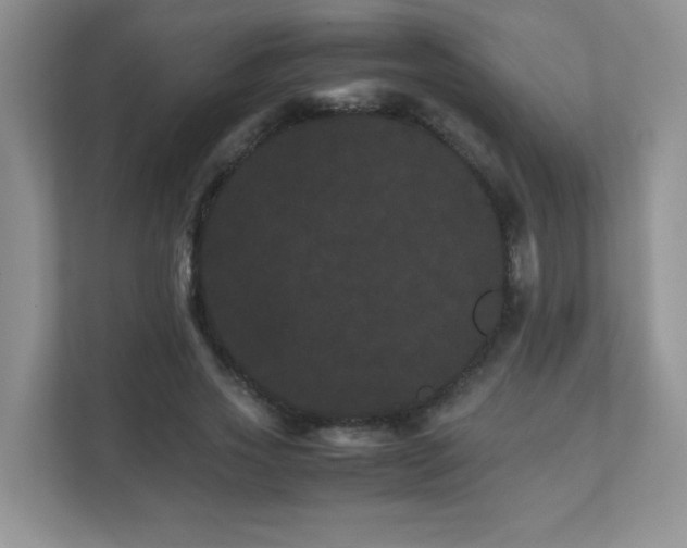 X0000111680733200907241232