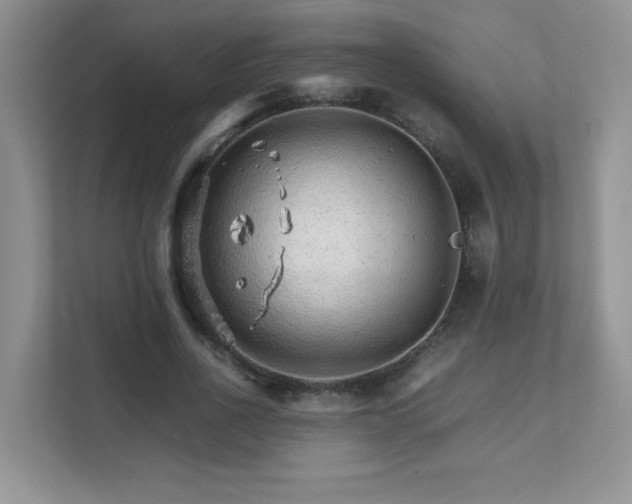 X0000111680734200907241232