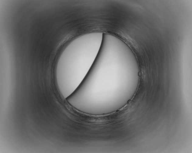 X0000111680735200907241232