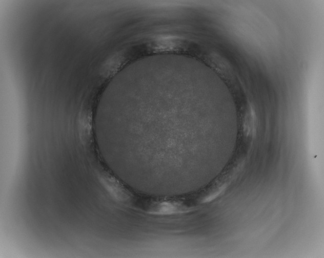 X0000111680737200907241232