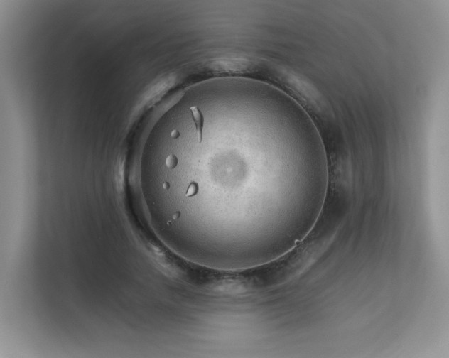 X0000111680738200907241232