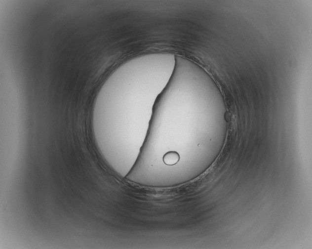 X0000111680739200907241232