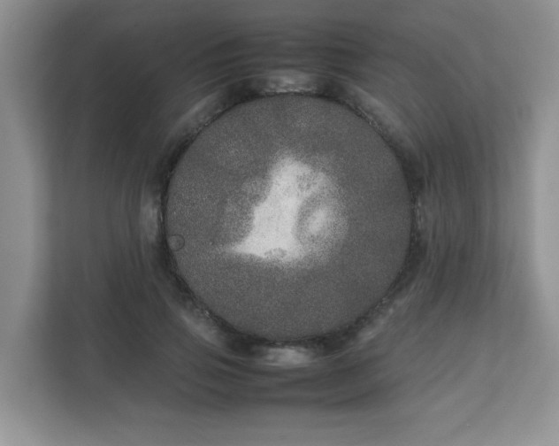 X0000111680741200907241232