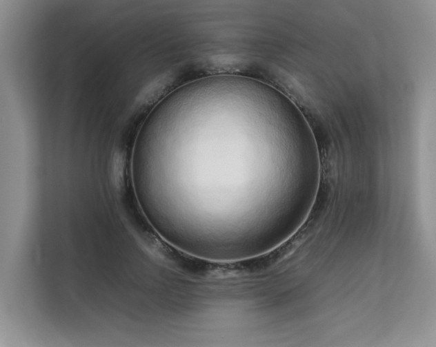 X0000111680742200907241232