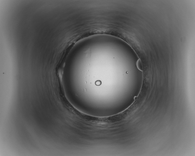 X0000111680743200907241232