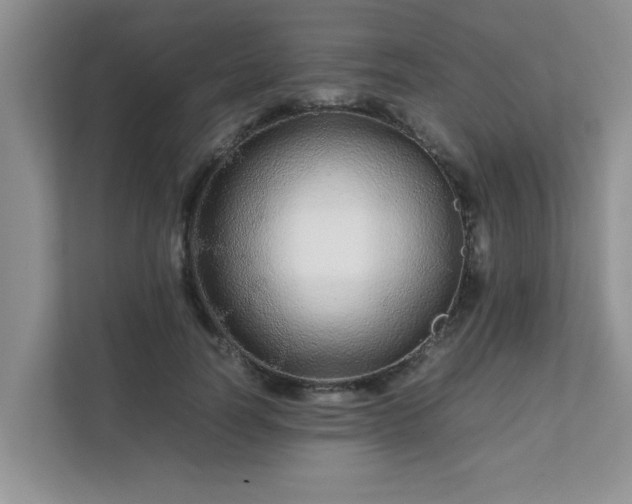 X0000111680746200907241232