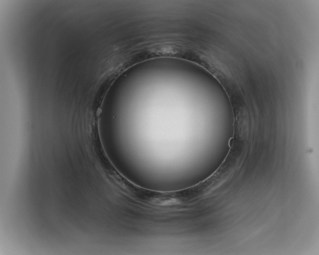 X0000111680747200907241232