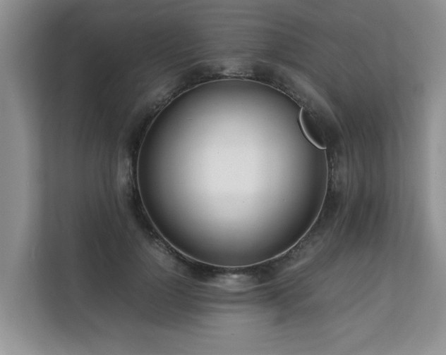 X0000111680748200907241232