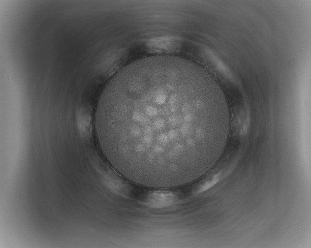 X0000111680749200907241232