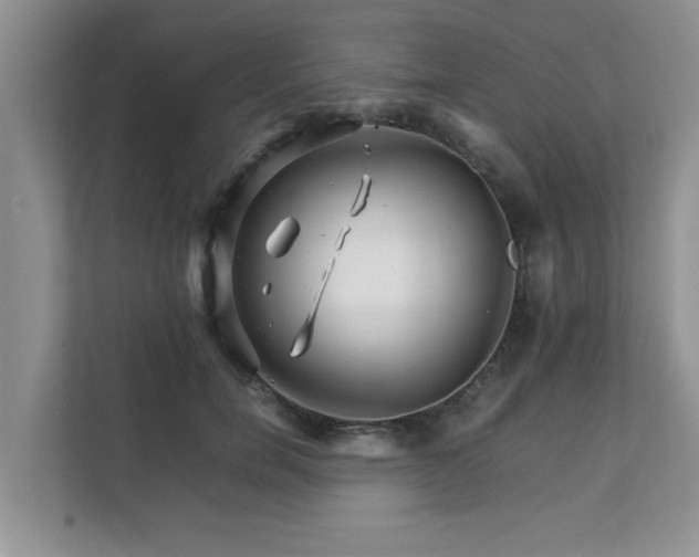 X0000111680750200907241232