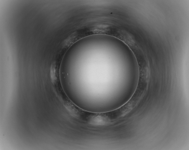 X0000111680755200907241233