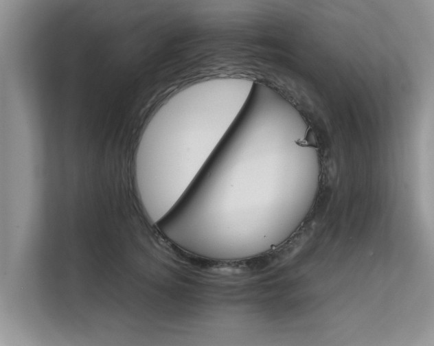 X0000111680756200907241233