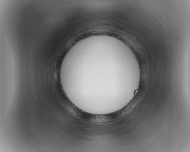 X0000111680758200907241233