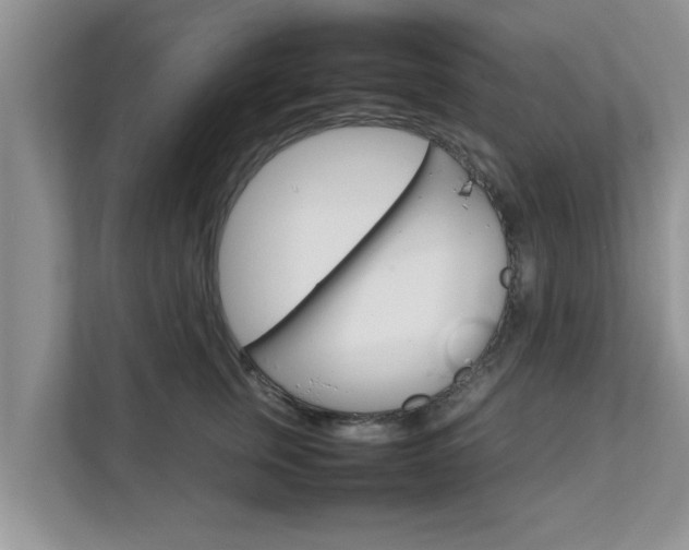 X0000111680759200907241233