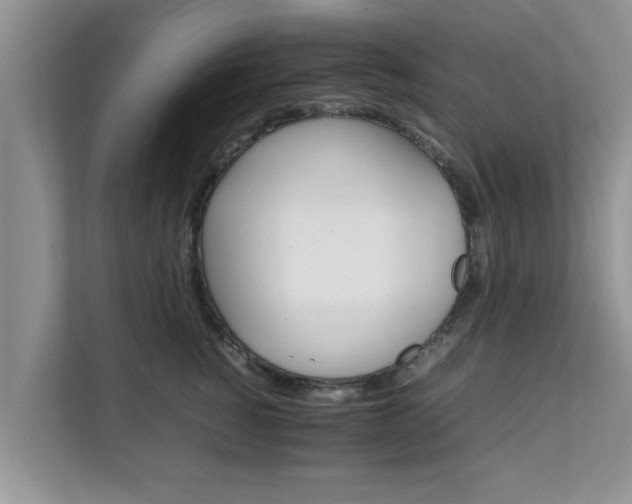 X0000111680760200907241233