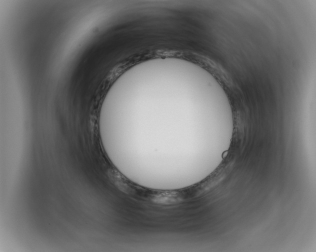 X0000111680761200907241233