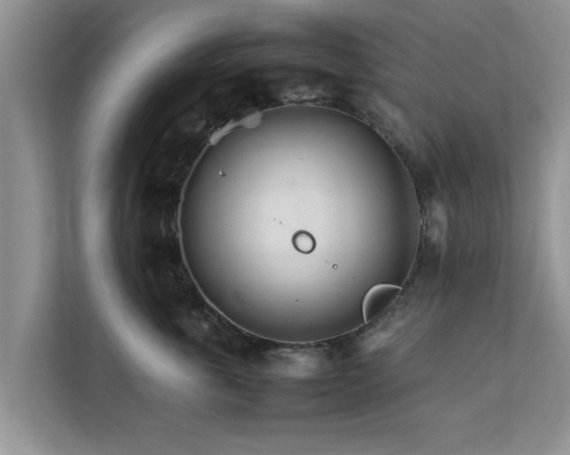 X0000111680763200907241233