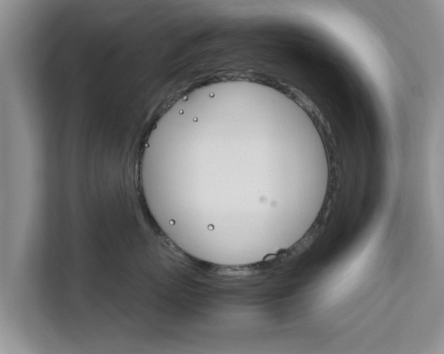 X0000111680767200907241233