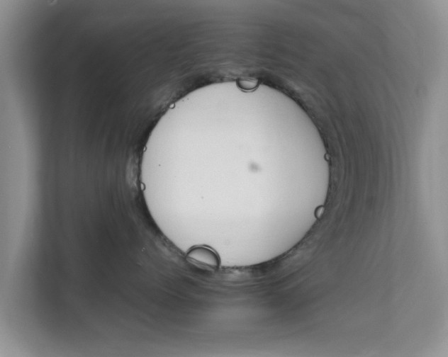 X0000111680768200907241233