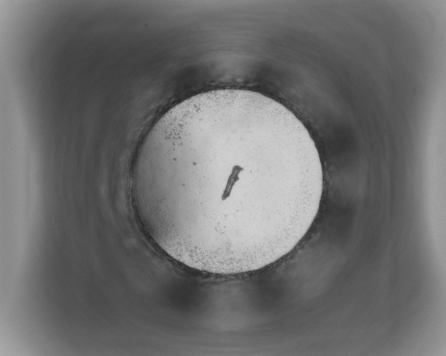 X0000111680769200907241232