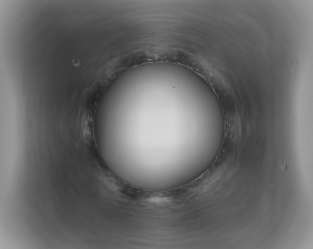 X0000111680770200907241232