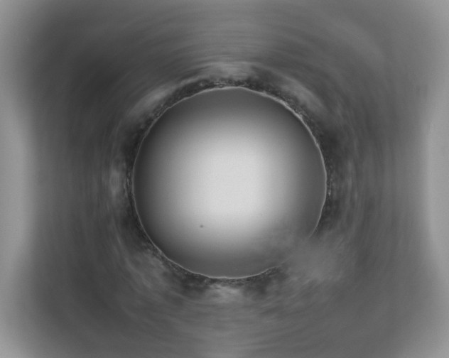 X0000111680773200907241232