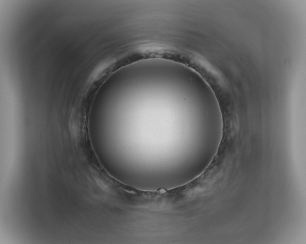 X0000111680775200907241232