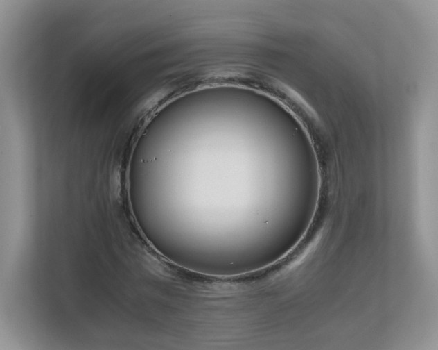 X0000111680777200907241232