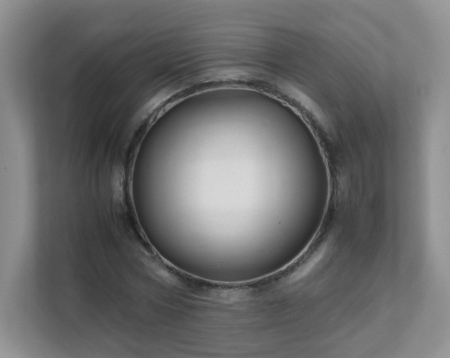 X0000111680778200907241232