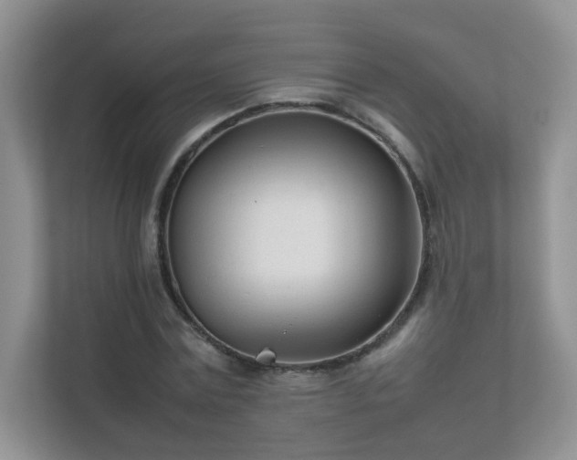 X0000111680779200907241232