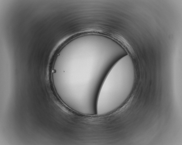 X0000111680780200907241232