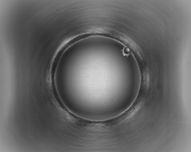 X0000111680784200907241232