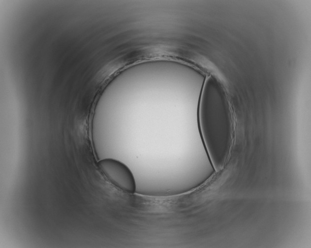 X0000111680785200907241232