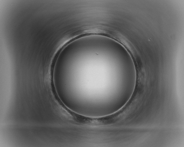 X0000111680787200907241232