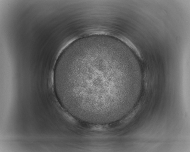 X0000111680790200907241232